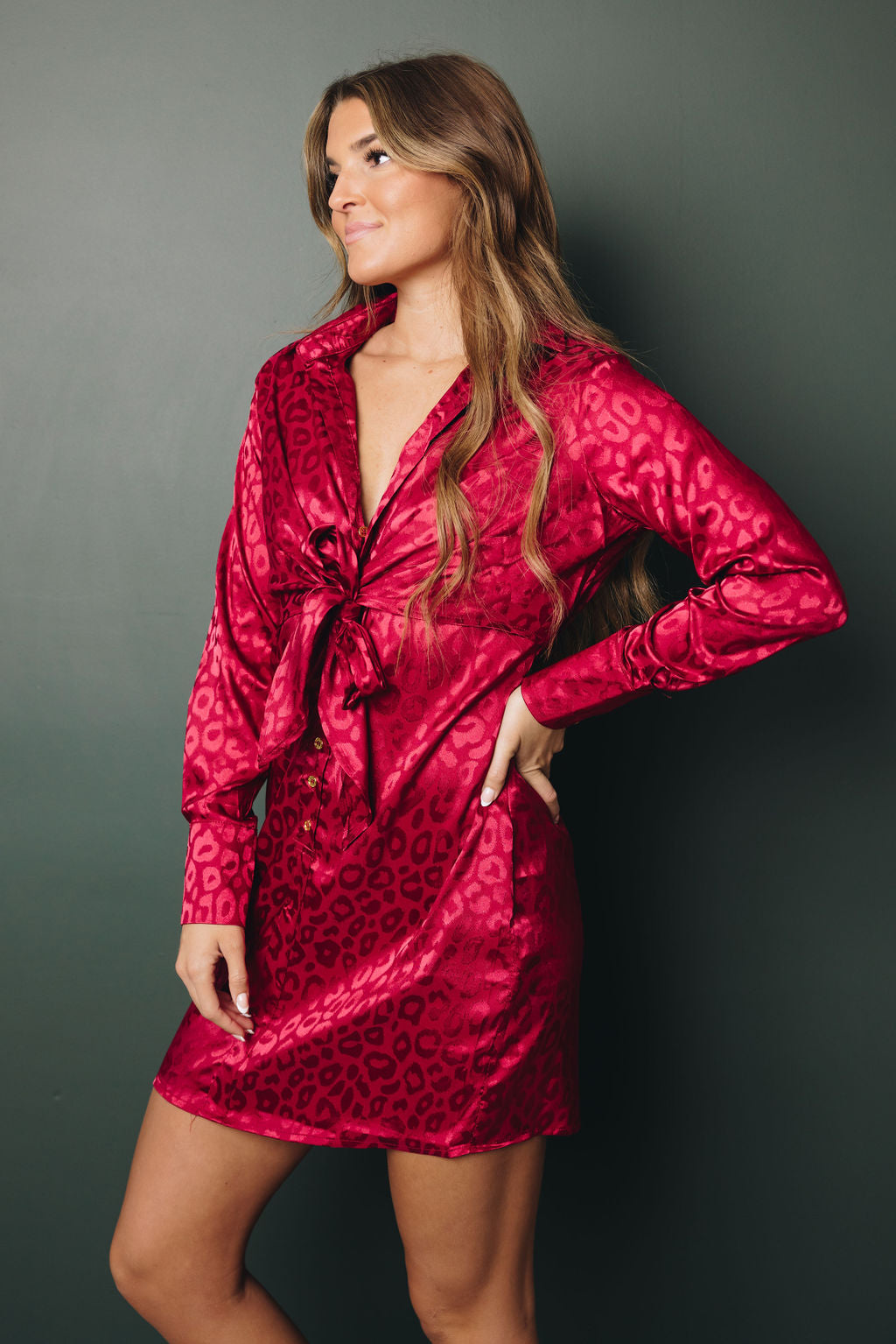 Marley Leopard Mini Dress