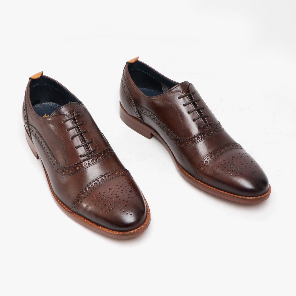 Base London CAST Mens Leather Brogue Shoes Brown