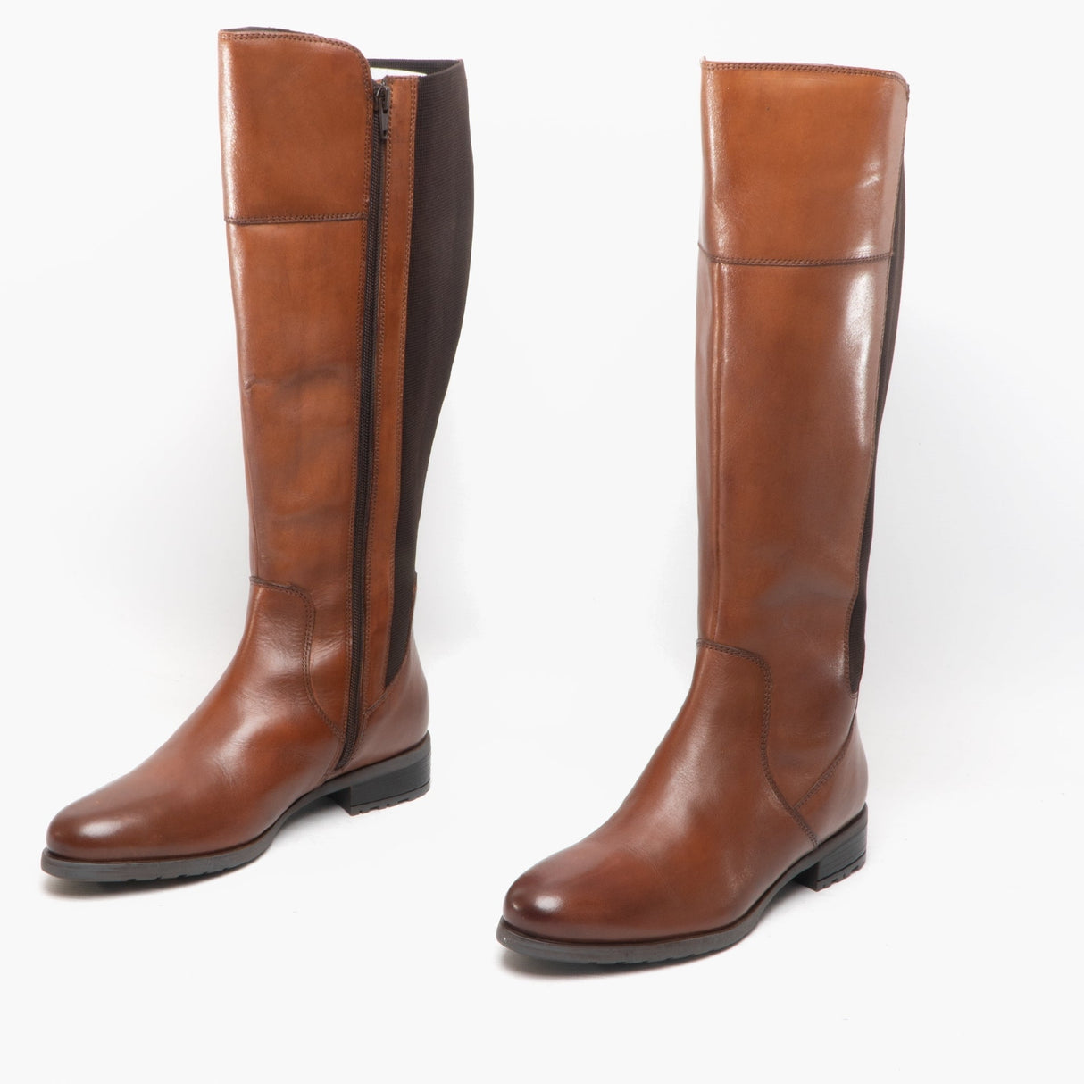 Cipriata SILVIA Womens Leather Zip High Leg Boots Tan