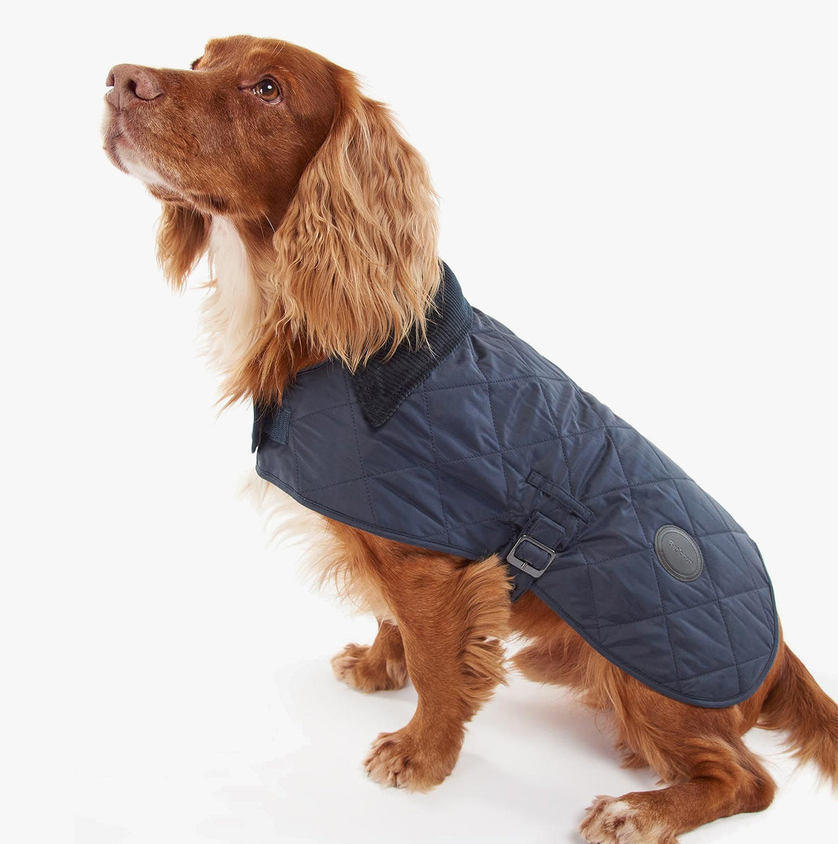 Barbour QUILTED DOG COAT Navy