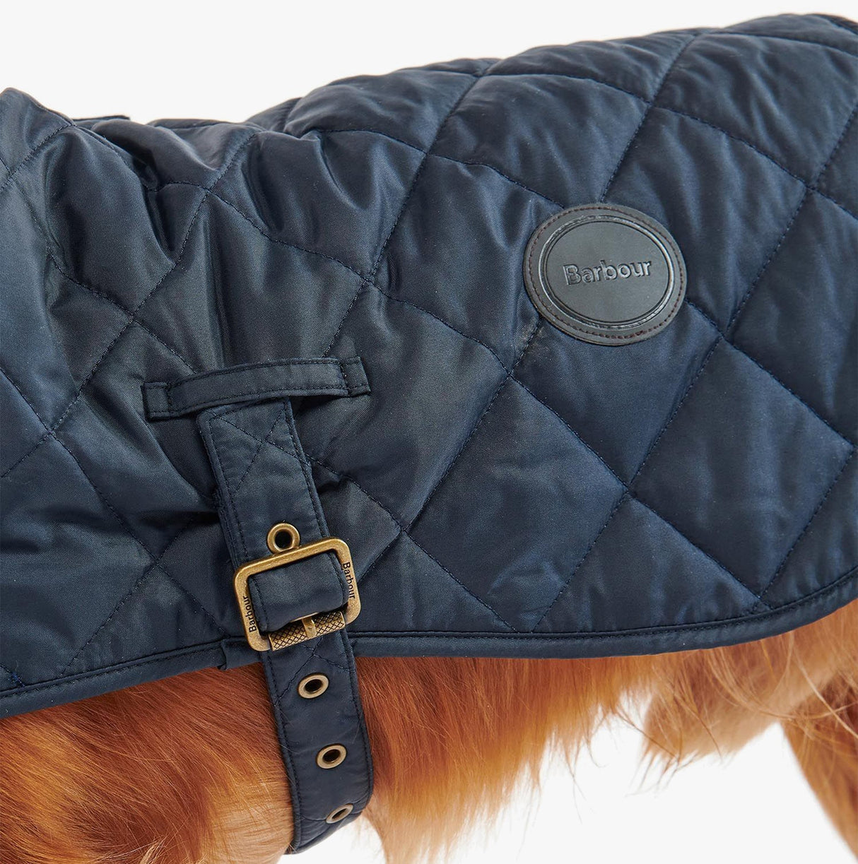 Barbour QUILTED DOG COAT Navy