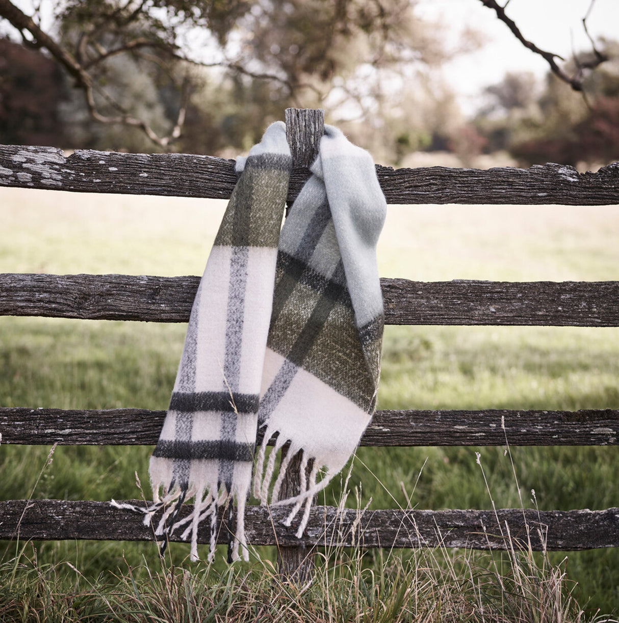 Barbour ISLA TARTAN BOUCLE Scarf Womens Soft Mint