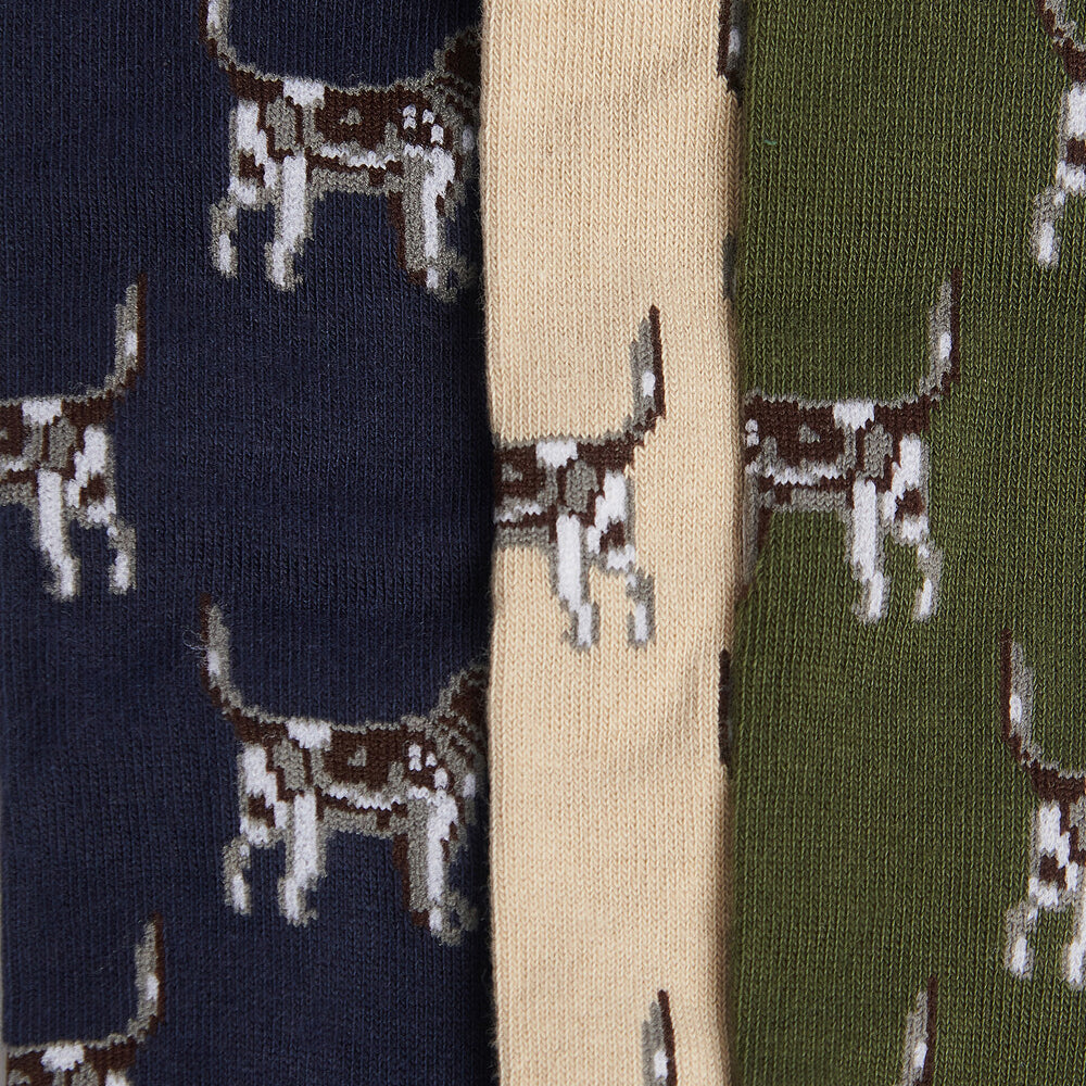Barbour POINTER DOG SOCKS Mens Gift Box Forest Mist