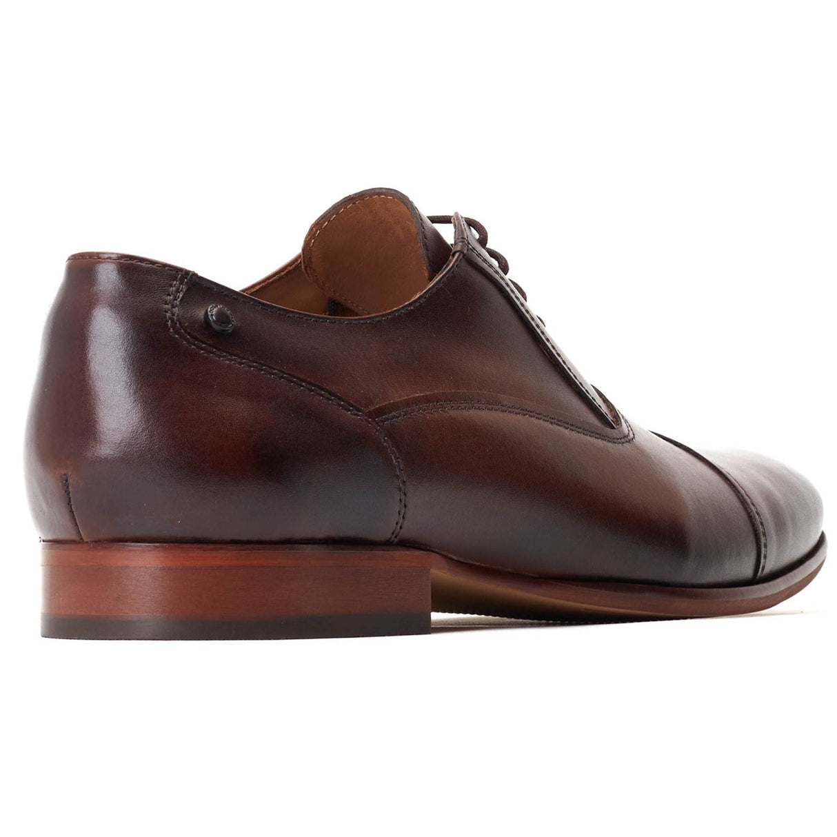Base London ANGELO Mens Shoes Brown