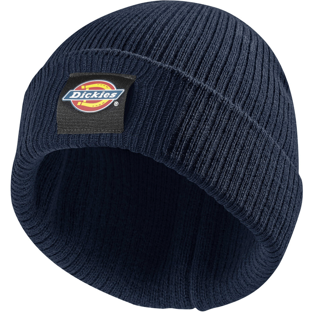 Dickies DT8003 22 Evadale Logo Beanie Various Colours