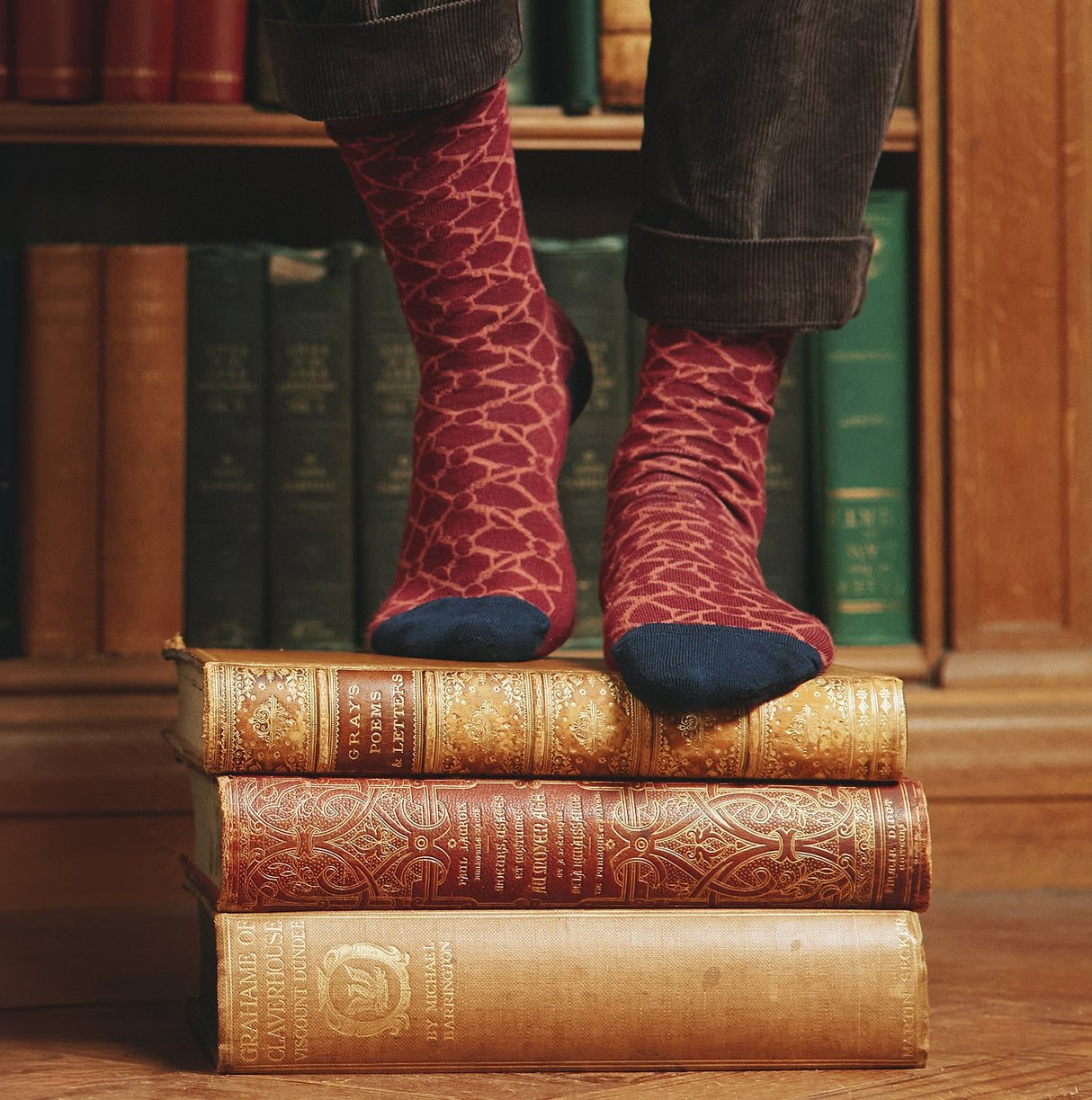 Joules EVERYDAY 2-Pack Womens Socks Navy Horse