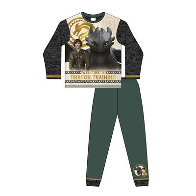 P1100 HOW TO TRAIN YOUR DRAGON