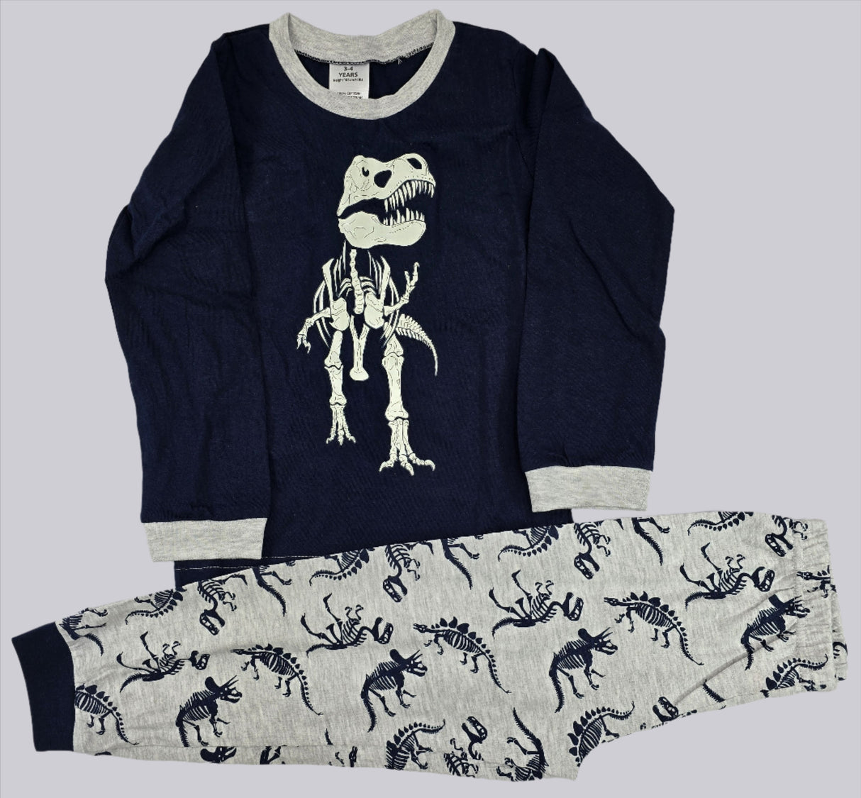 P683 Glow in the dark dinosaur