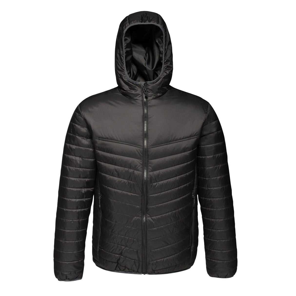 Regatta TRA420 Arcadia II Warmloft Down-Touch Jacket