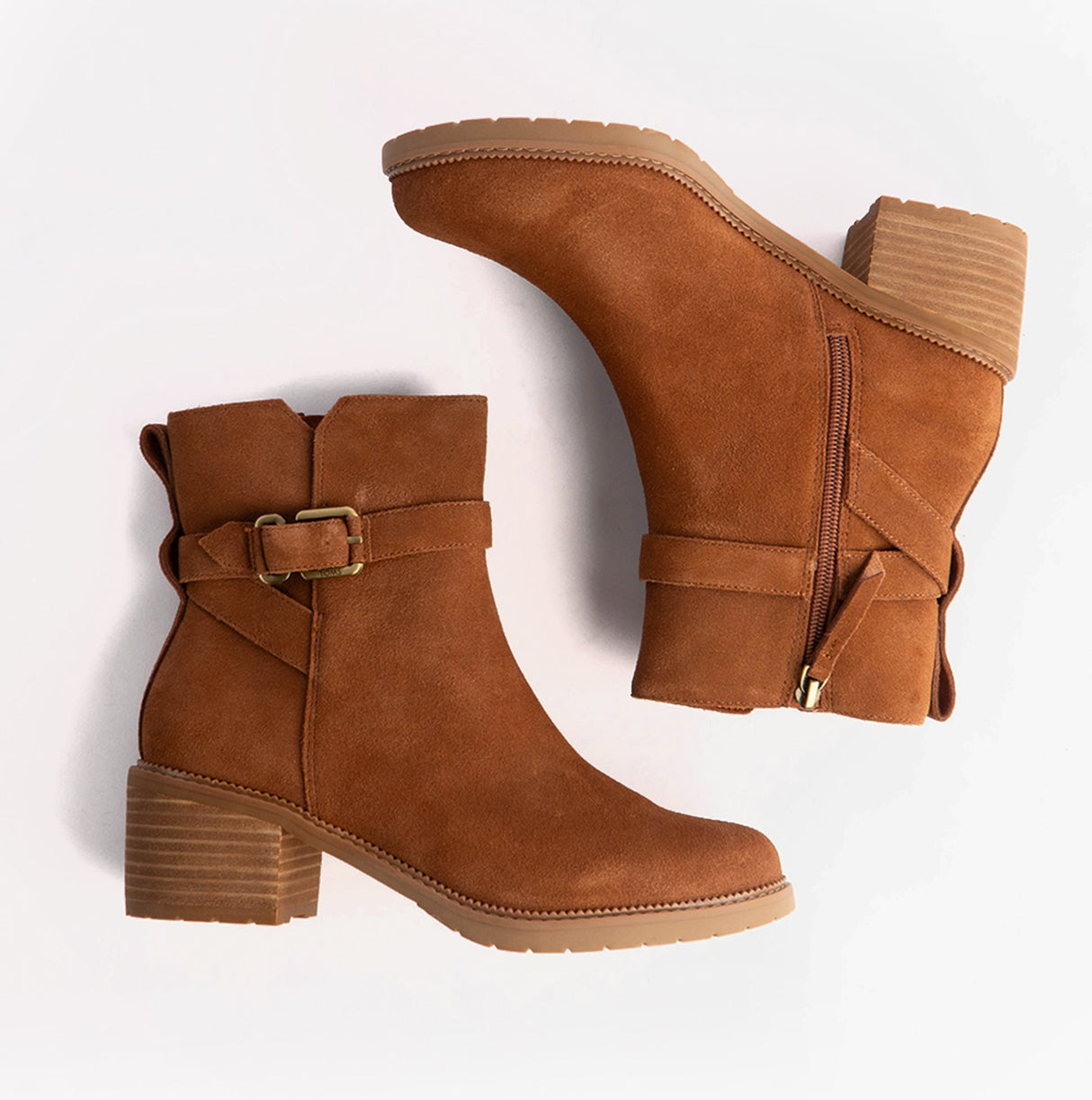 TOMS HAILEY BUCKLE Womens Ankle Boots Brown