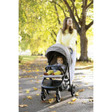 Joie Litetrax Pro Stroller - Shale