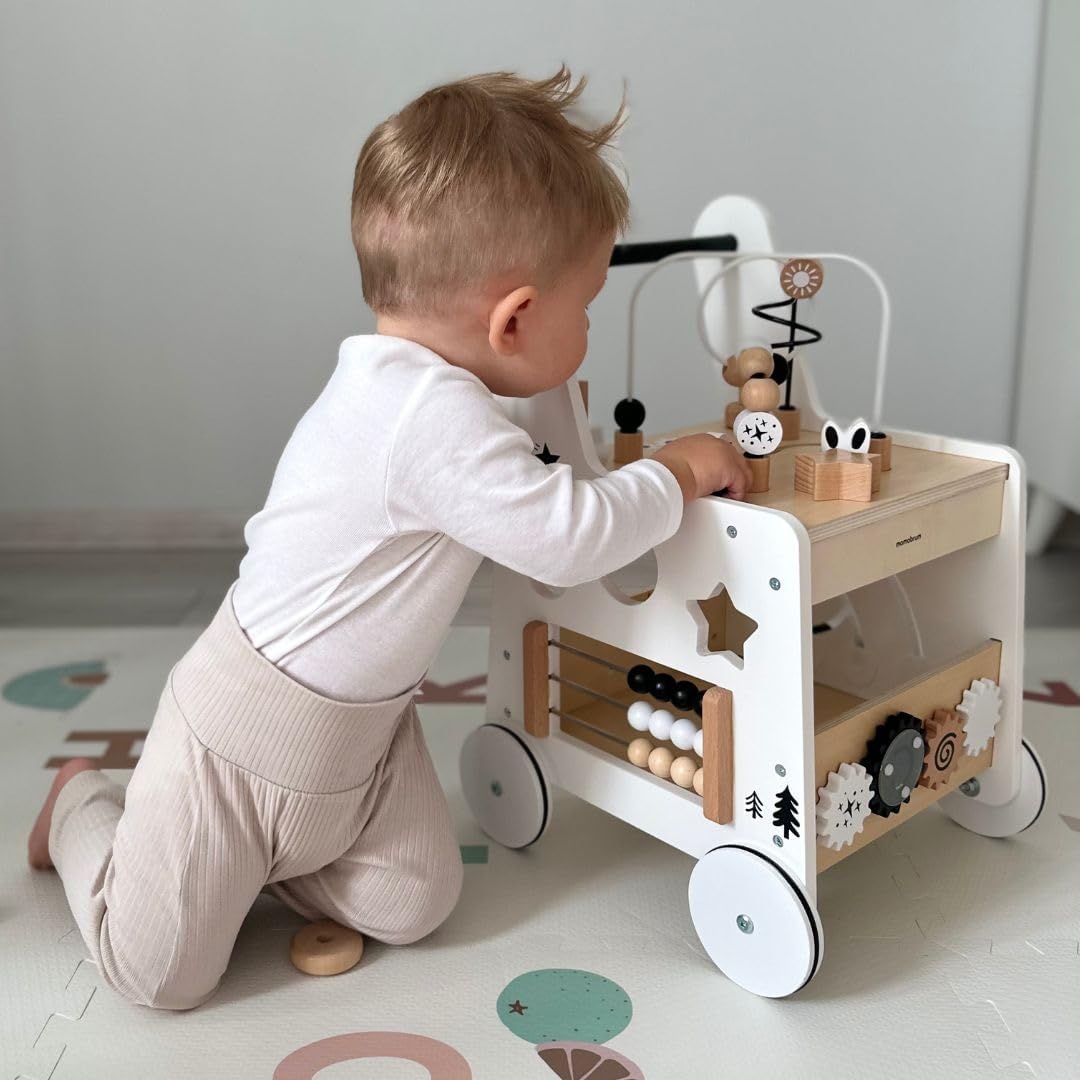 Walk & Play – Eco Friendly Baby Walker