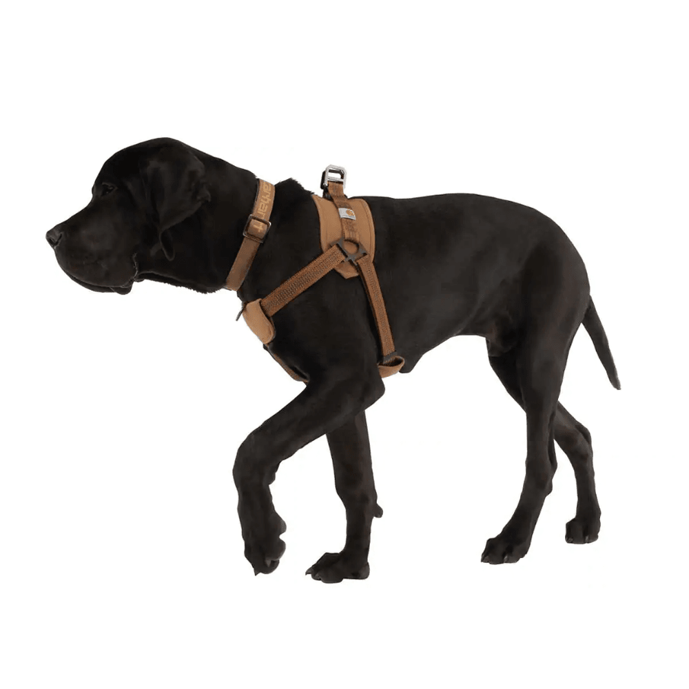 Carhartt P000341 Cargo Series Nylon Ripstop Work Dog Harness