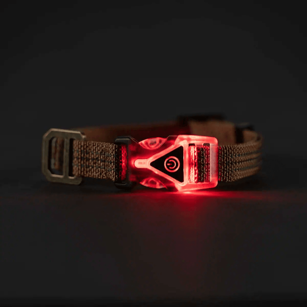 Carhartt P000345 Lighted Reflective Dog Collar