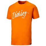 Dickies DT6012 22 Hanston Graphic T-Shirt Various Colours
