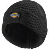 Dickies DT8003 22 Evadale Logo Beanie Various Colours