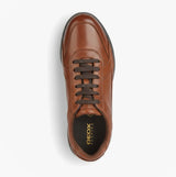 GEOX U SPHERICA EC12 Mens Trainers Cognac