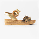 Gabor ANDRE Womens Sandals Medium Brown