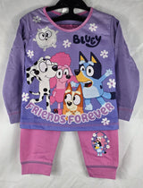 P1009 BLUEY