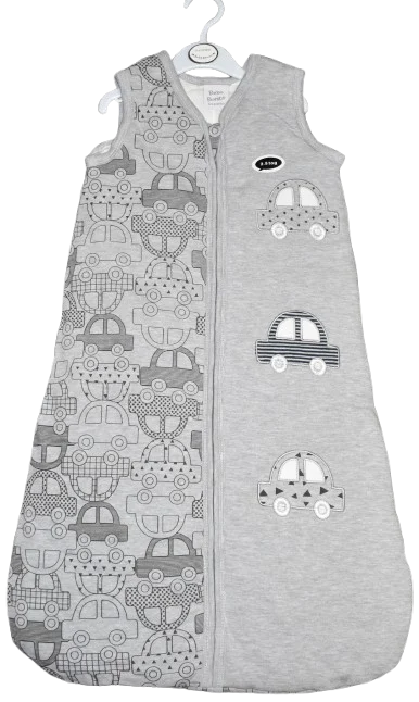 P1130 CARS SLEEPING BAG