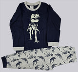 P683 Glow in the dark dinosaur