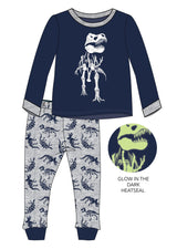 P683 Glow in the dark dinosaur