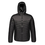 Regatta TRA420 Arcadia II Warmloft Down-Touch Jacket