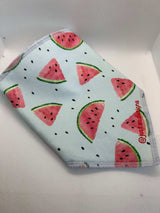 Watermelon Dribble Bib