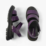 Westland PEYTON 08 Womens Sandals Purple