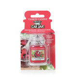 Yankee Red Raspberry Signature Ultimate Car Jar