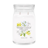 Yankee Midnight Jasmine Signature Large Jar