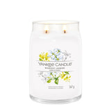 Yankee Midnight Jasmine Signature Large Jar