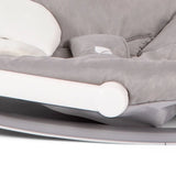 Joie Dreamer Rocker - Fern