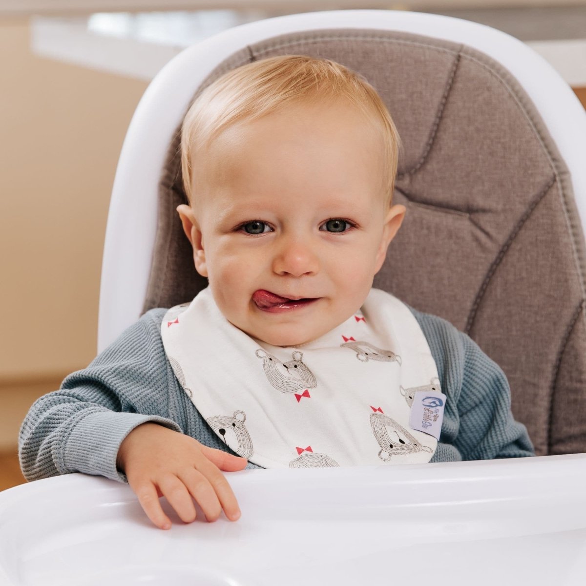 Baby Bandana Dribble Bibs Cotton Pack Of 8 - Boys