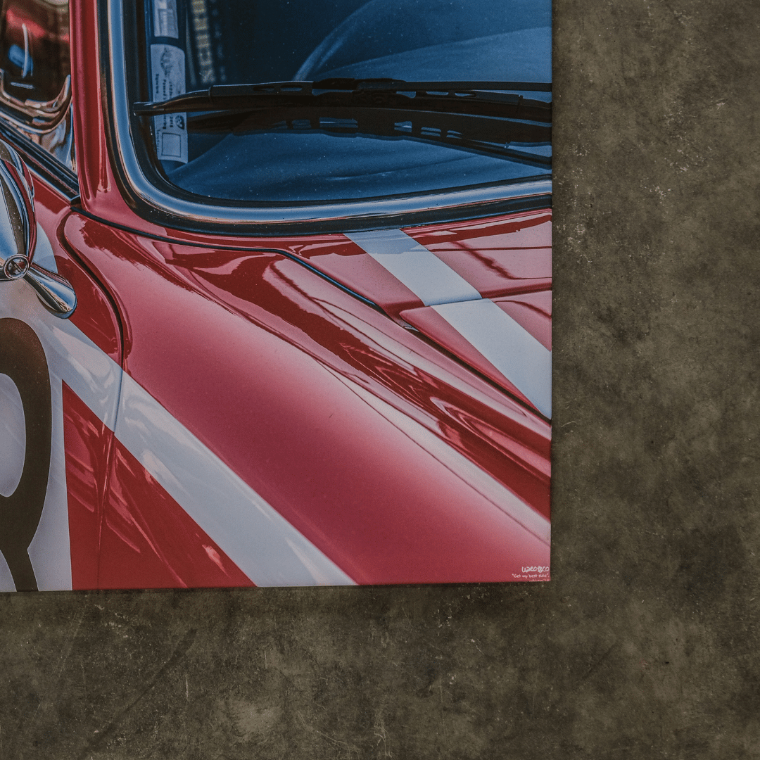 'Get My Best Side' - Canvas 1.0